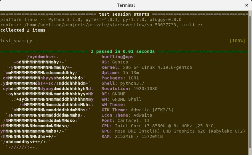 This is a screenshot of a terminal window showing the output of the Python `pytest` command.