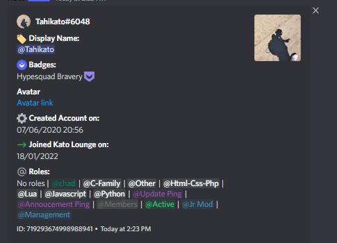 A screenshot of a Discord users profile, showing their username, ID, creation date, and other information.