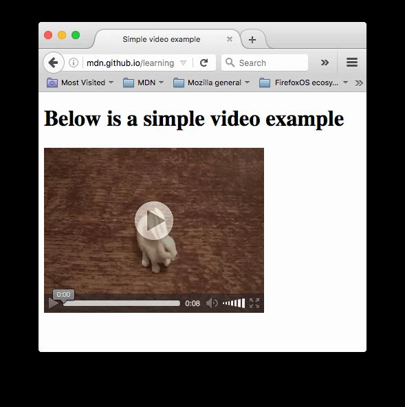 A web browser window showing a video of a white rabbit on a white background with the text Below is a simple video example above it.