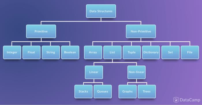 A tree chart of primitive and non-primitive data structures, with examples of each.