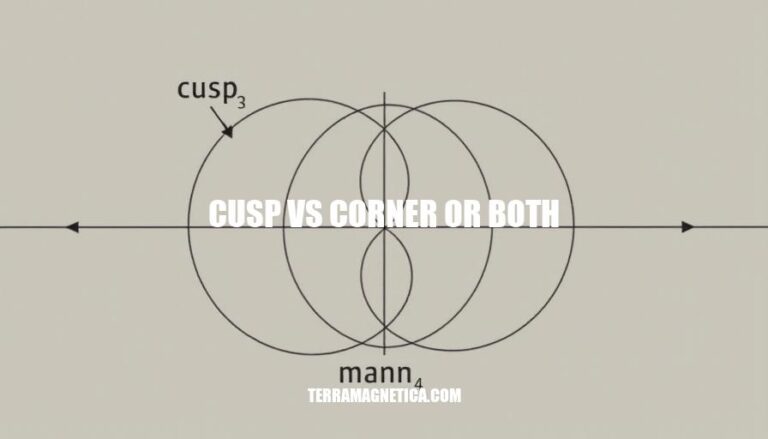 Cusp vs Corner: Understanding Key Graphical Features